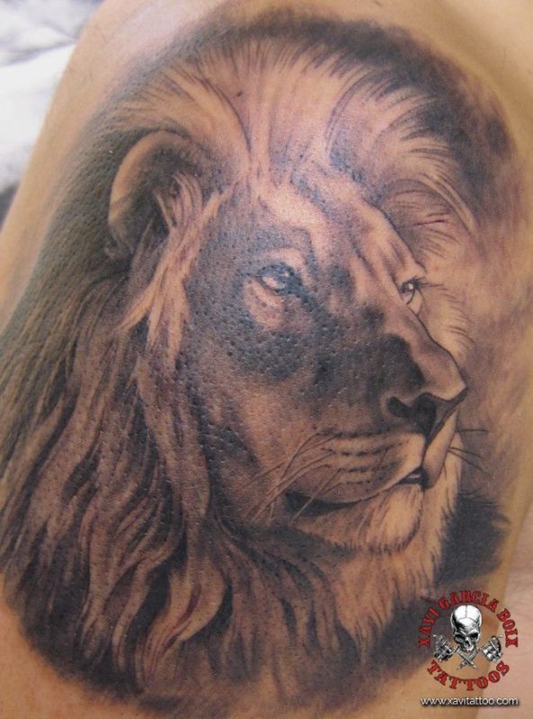 xavi garcia boix tattoo retrato realismo portrait realism tatuaje valencia diversos random leon lion africa nature naturaleza animales animals savage