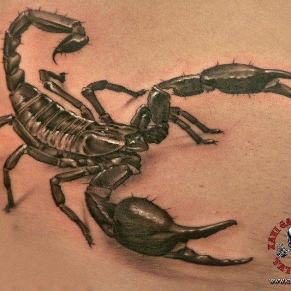 xavi garcia boix tattoo retrato realismo portrait realism tatuaje valencia diversos random scorpion escorpion naturaleza animales nature animals