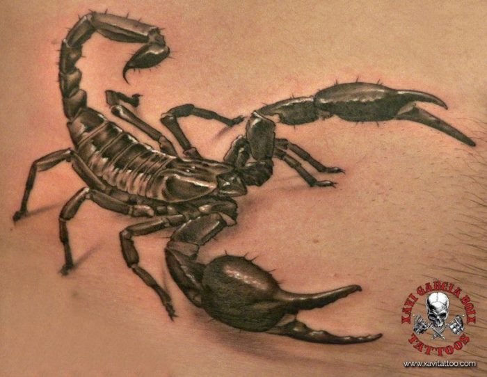 xavi garcia boix tattoo retrato realismo portrait realism tatuaje valencia diversos random scorpion escorpion naturaleza animales nature animals