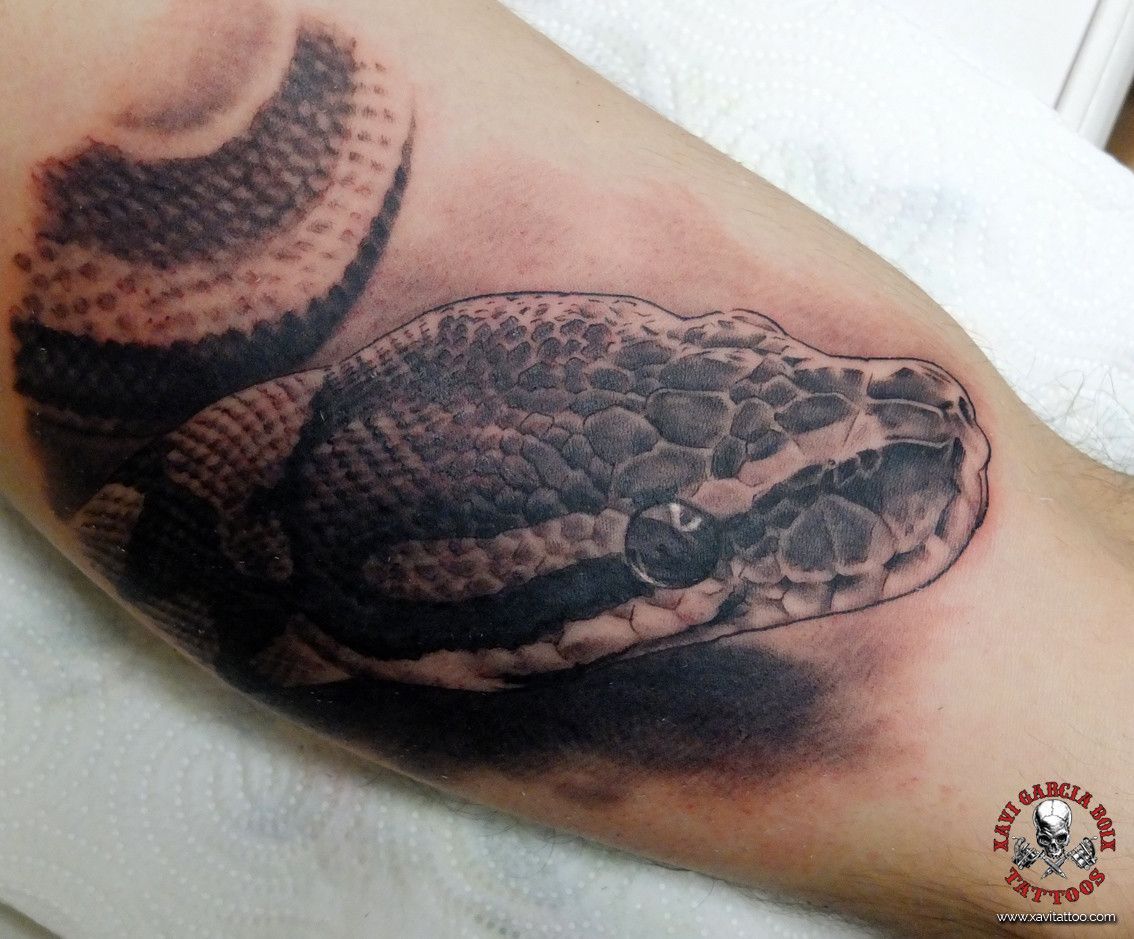 xavi garcia boix tattoo retrato realismo portrait realism tatuaje valencia diversos random serpiente cabeza snake head naturaleza animales nature animals