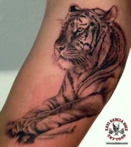 xavi garcia boix tattoo retrato realismo portrait realism tatuaje valencia diversos random tigre tiger nature naturaleza wild